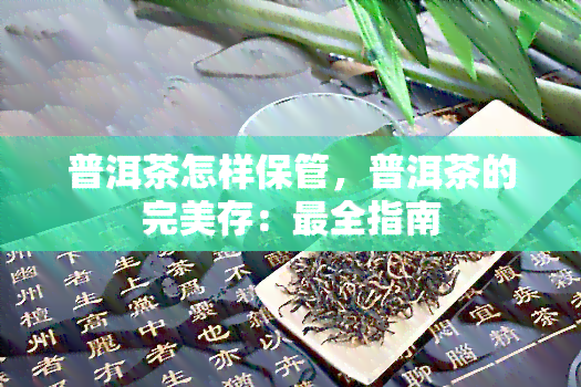 普洱茶怎样保管，普洱茶的完美存：最全指南