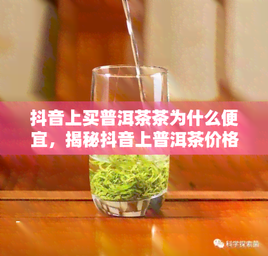 抖音上买普洱茶茶为什么便宜，揭秘抖音上普洱茶价格低的原因