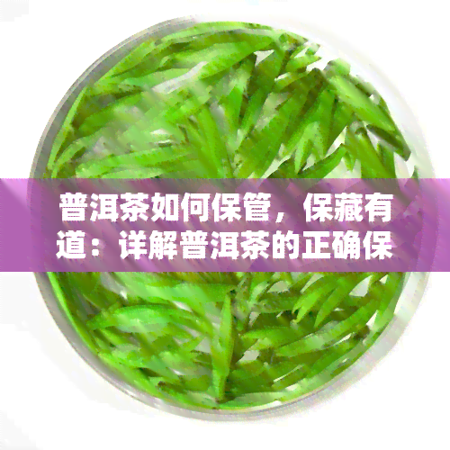 普洱茶如何保管，保藏有道：详解普洱茶的正确保管方法