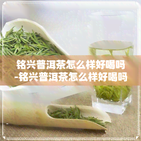 铭兴普洱茶怎么样好喝吗-铭兴普洱茶怎么样好喝吗知乎