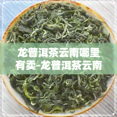 龙普洱茶云南哪里有卖-龙普洱茶云南哪里有卖的