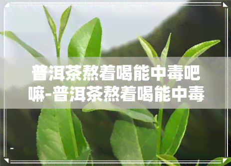 普洱茶熬着喝能中吧嘛-普洱茶熬着喝能中吧嘛