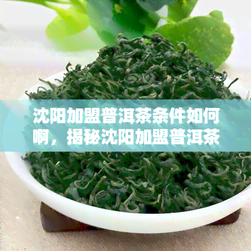 沈阳加盟普洱茶条件如何啊，揭秘沈阳加盟普洱茶的条件，你是否合？