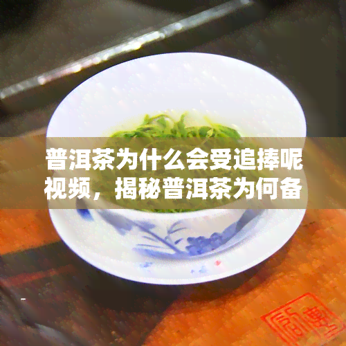 普洱茶为什么会受追捧呢视频，揭秘普洱茶为何备受追捧：一文带你了解其魅力所在