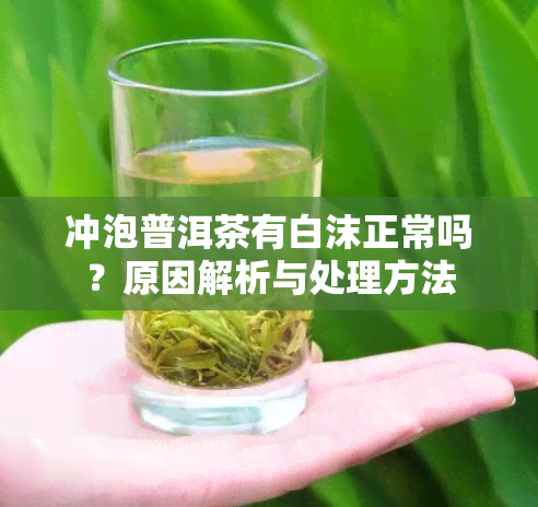 冲泡普洱茶有白沫正常吗？原因解析与处理方法