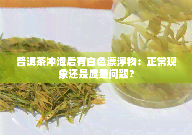 普洱茶冲泡后有白色漂浮物：正常现象还是质量问题？