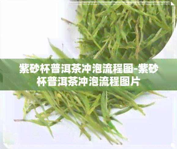 紫砂杯普洱茶冲泡流程图-紫砂杯普洱茶冲泡流程图片