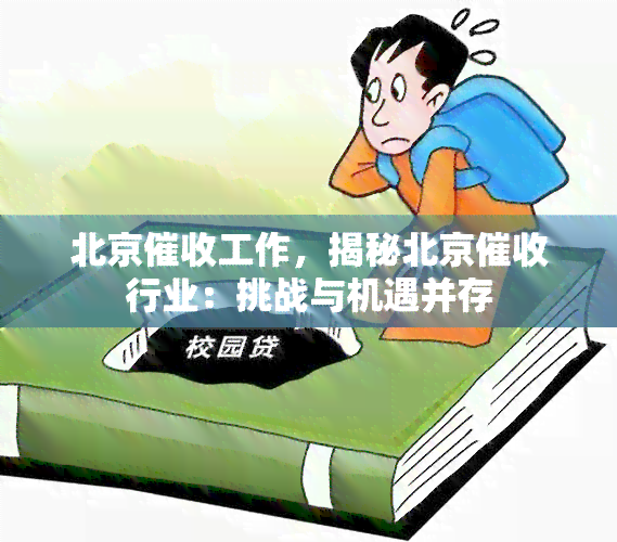 北京工作，揭秘北京行业：挑战与机遇并存