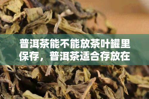 普洱茶能不能放茶叶罐里保存，普洱茶适合存放在茶叶罐中吗？