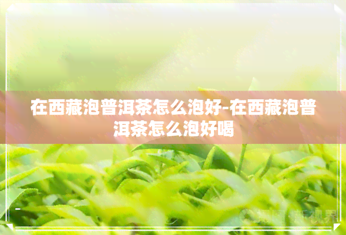 在 *** 泡普洱茶怎么泡好-在 *** 泡普洱茶怎么泡好喝