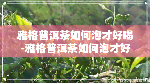 雅格普洱茶如何泡才好喝-雅格普洱茶如何泡才好喝呢