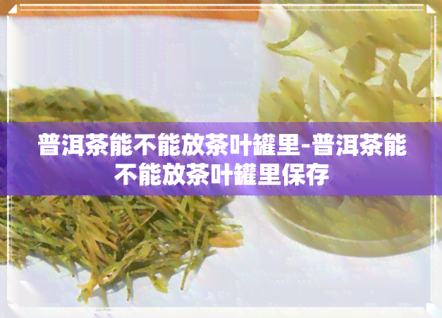 普洱茶能不能放茶叶罐里-普洱茶能不能放茶叶罐里保存