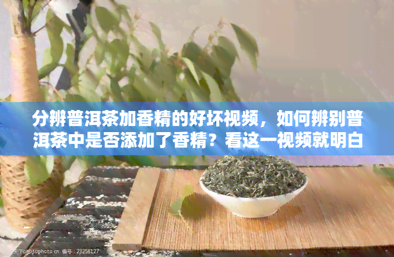 分辨普洱茶加香精的好坏视频，如何辨别普洱茶中是否添加了香精？看这一视频就明白了！