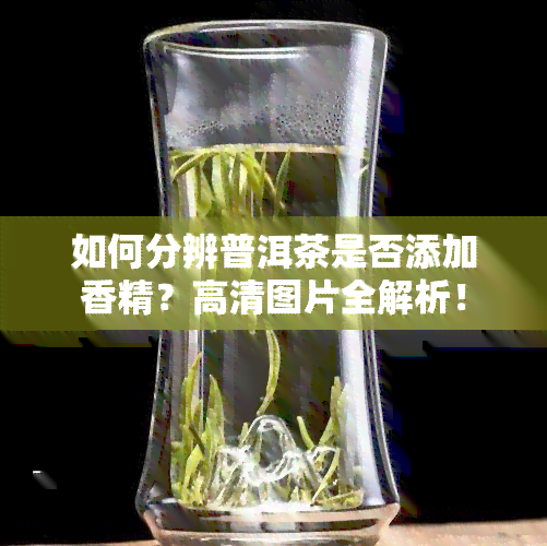 如何分辨普洱茶是否添加香精？高清图片全解析！