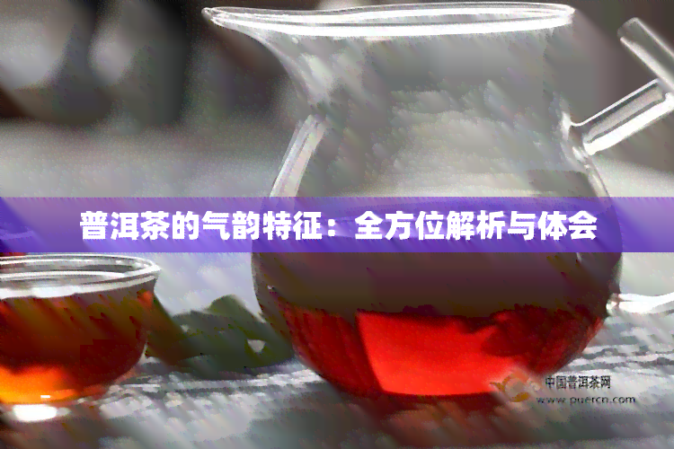 普洱茶的气韵特征：全方位解析与体会