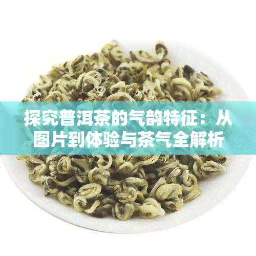 探究普洱茶的气韵特征：从图片到体验与茶气全解析