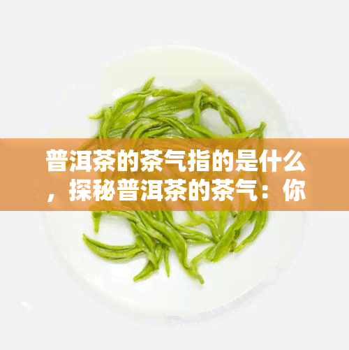 普洱茶的茶气指的是什么，探秘普洱茶的茶气：你了解多少？