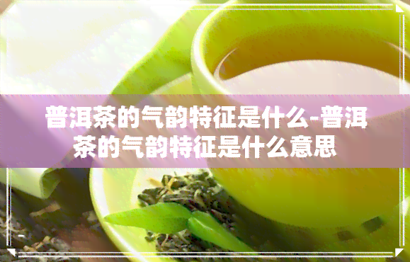 普洱茶的气韵特征是什么-普洱茶的气韵特征是什么意思