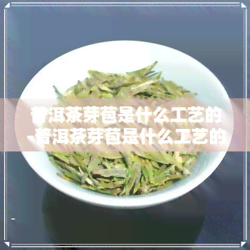 普洱茶芽苞是什么工艺的-普洱茶芽苞是什么工艺的好