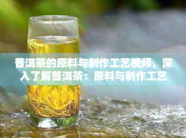 普洱茶的原料与制作工艺视频，深入了解普洱茶：原料与制作工艺全程揭秘视频