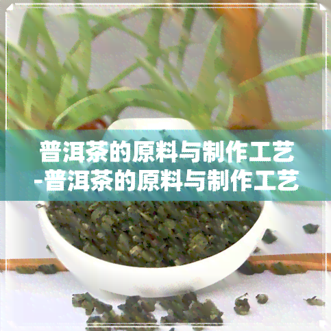 普洱茶的原料与制作工艺-普洱茶的原料与制作工艺流程