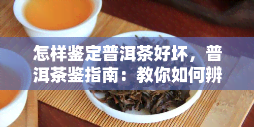 怎样鉴定普洱茶好坏，普洱茶鉴指南：教你如何辨别好茶与坏茶