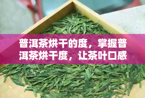 普洱茶烘干的度，掌握普洱茶烘干度，让茶叶口感更佳！