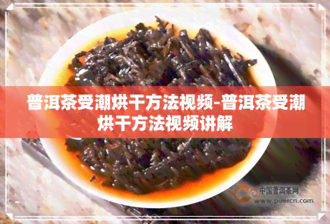 普洱茶受潮烘干方法视频-普洱茶受潮烘干方法视频讲解