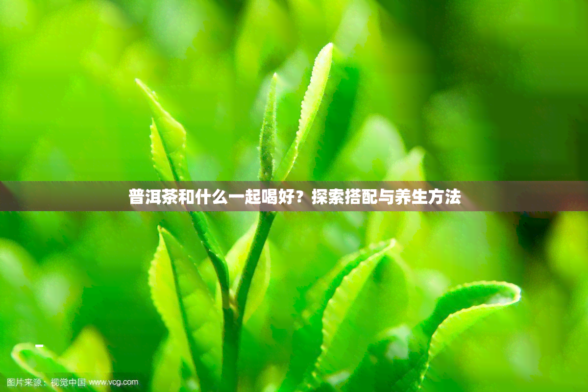 普洱茶和什么一起喝好？探索搭配与养生方法