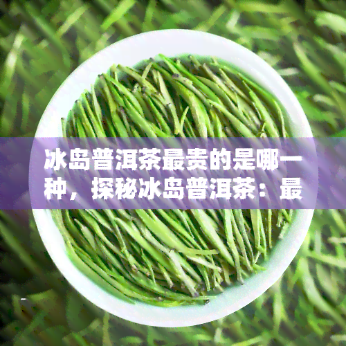 冰岛普洱茶最贵的是哪一种，探秘冰岛普洱茶：最昂贵的品种是什么？