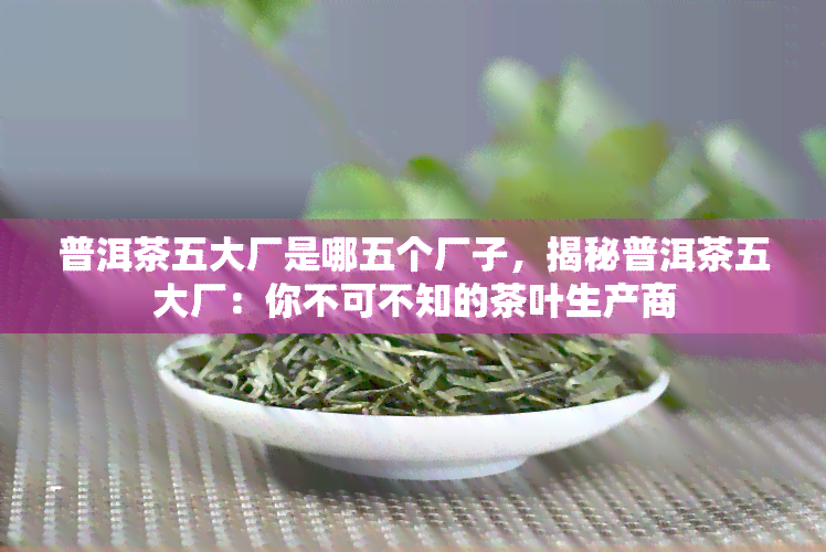 普洱茶五大厂是哪五个厂子，揭秘普洱茶五大厂：你不可不知的茶叶生产商