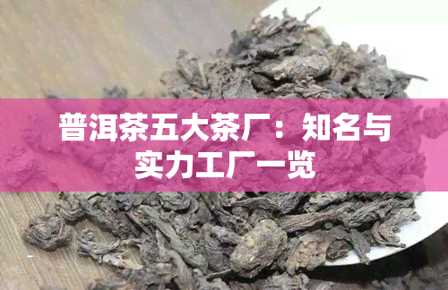 普洱茶五大茶厂：知名与实力工厂一览