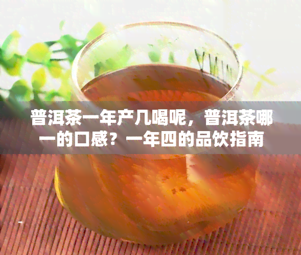 普洱茶一年产几喝呢，普洱茶哪一的口感？一年四的品饮指南