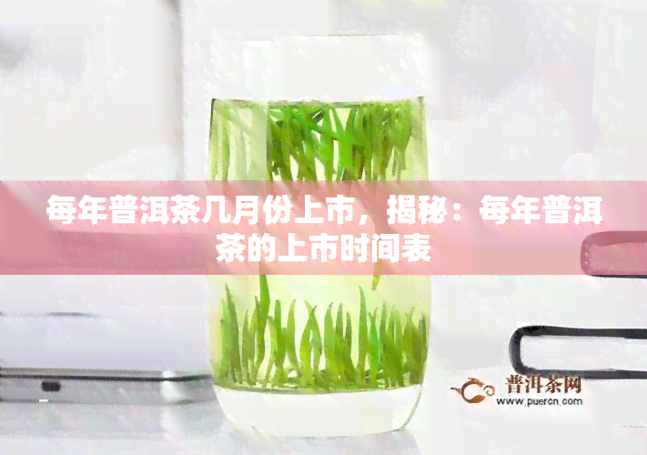 每年普洱茶几月份上市，揭秘：每年普洱茶的上市时间表