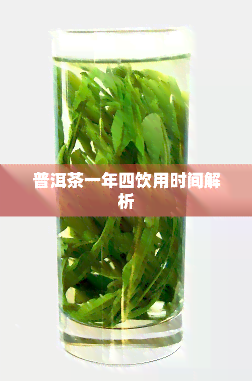 普洱茶一年四饮用时间解析