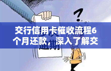 交行信用卡流程6个月还款，深入了解交行信用卡流程：6个月内还款的详细步骤