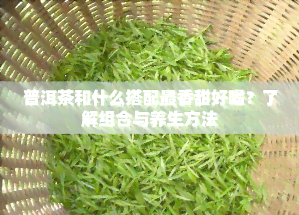 普洱茶和什么搭配最香甜好喝？了解组合与养生方法