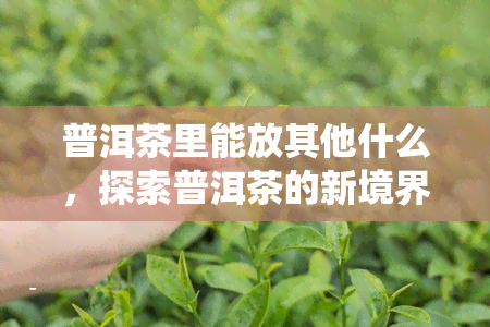 普洱茶里能放其他什么，探索普洱茶的新境界：除了传统搭配，还能添加哪些元素？