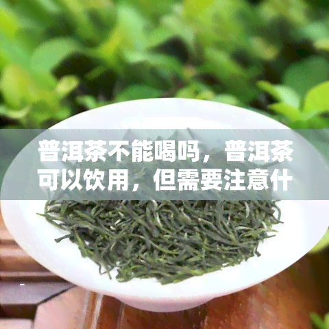 普洱茶不能喝吗，普洱茶可以饮用，但需要注意什么？