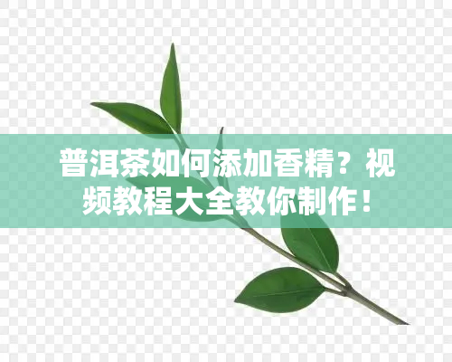 普洱茶如何添加香精？视频教程大全教你制作！