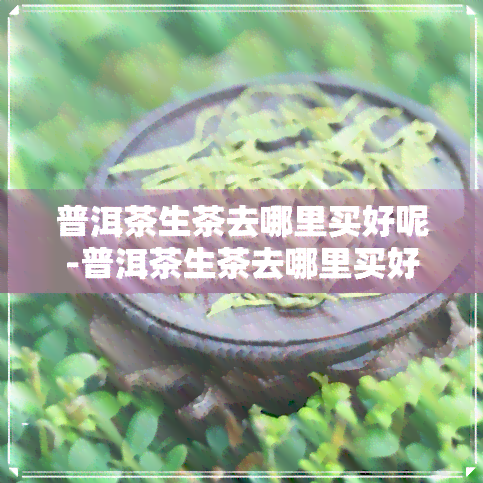 普洱茶生茶去哪里买好呢-普洱茶生茶去哪里买好呢知乎