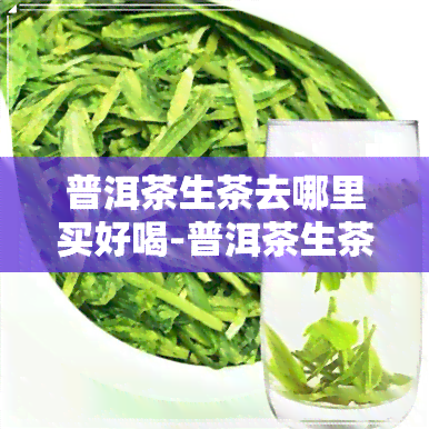 普洱茶生茶去哪里买好喝-普洱茶生茶去哪里买好喝一点