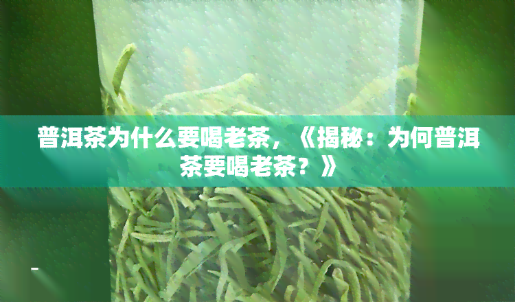 普洱茶为什么要喝老茶，《揭秘：为何普洱茶要喝老茶？》