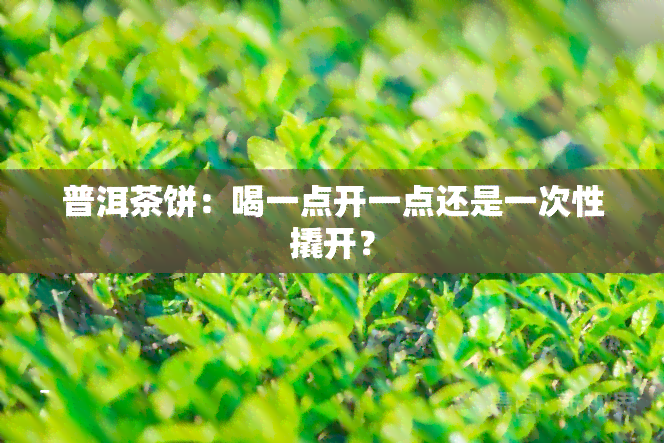 普洱茶饼：喝一点开一点还是一次性撬开？