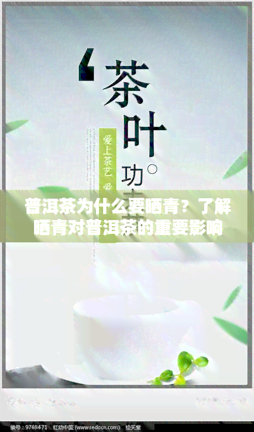 普洱茶为什么要晒青？了解晒青对普洱茶的重要影响