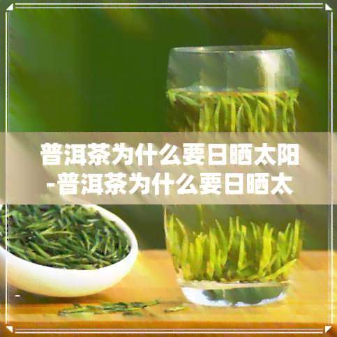 普洱茶为什么要日晒太阳-普洱茶为什么要日晒太阳呢