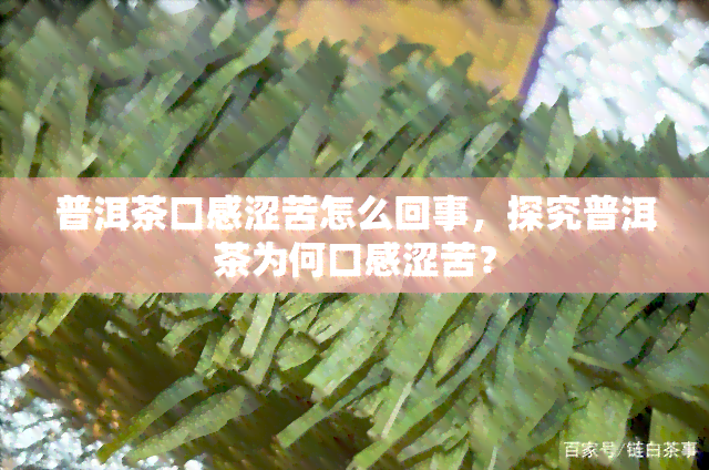 普洱茶口感涩苦怎么回事，探究普洱茶为何口感涩苦？