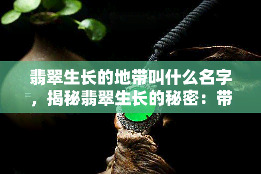 翡翠生长的地带叫什么名字，揭秘翡翠生长的秘密：带你了解翡翠的产地名称