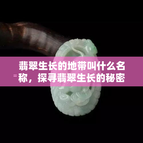 翡翠生长的地带叫什么名称，探寻翡翠生长的秘密：揭秘翡翠产地的名称与特点