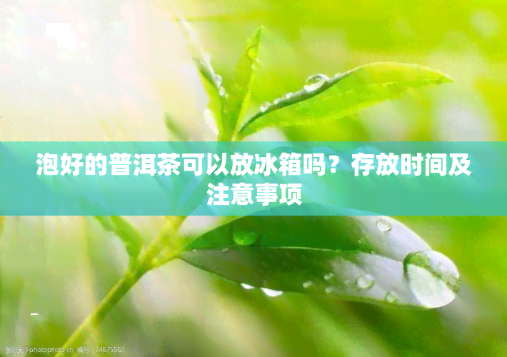 泡好的普洱茶可以放冰箱吗？存放时间及注意事项